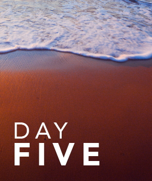 Day 5 - Forests and Orangutans and Sun Bears, Oh My!