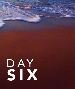 Day 6 - A Trip to Remember