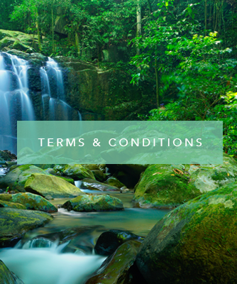 TermsConditions