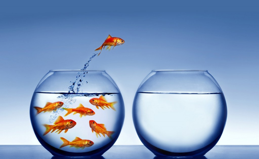 Julia Corradetti – Keep challenging yourself