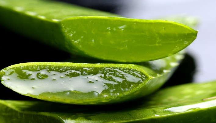 Sugars that are good for you from the aloe vera plant – part 4