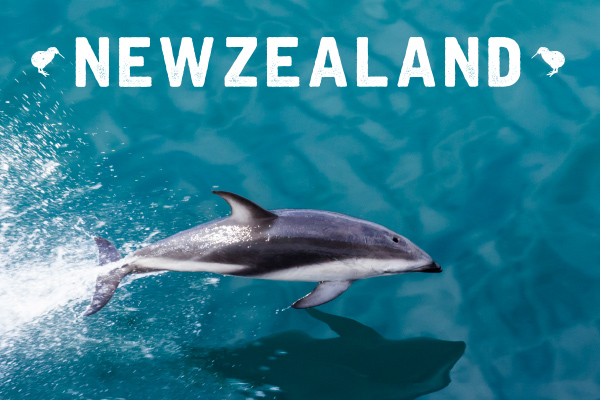 New Zealand Incentive: Take yourself to the edge of the world