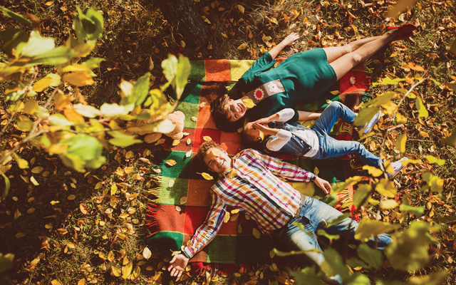 AO® for Autumn