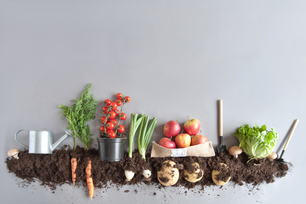 Are you eating organic?