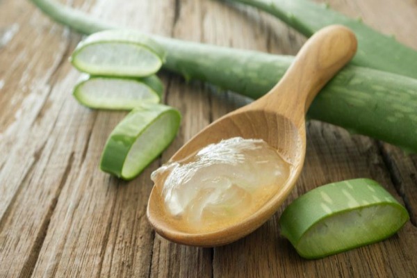 The Secrets of the Aloe Vera Plant Revealed!